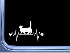 New listing
		Munchkin Cat Lifeline M354 8 inch Sticker Decal kitten litterbox catnip