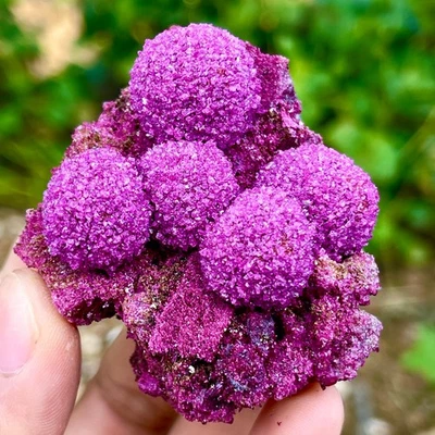 103G Indian dandelion zeolite Quartz Crystal Cluster Mineral Specimen - Image 1 of 4