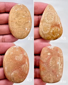 100% NATURAL GORGEOUS YELLOW CORAL CABOCHON LOOSE GEMSTONE - Picture 1 of 5