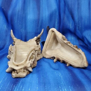 Horned Dragon Head Skull Skeleton Jewelry Keys Coin Box Resin Figurine *NEW* - Picture 1 of 8