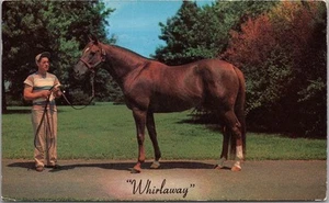 WHIRLAWAY Triple Crown Rennpferd Postkarte Calumet Farm Lexington KY 1956 Abgebrochen - Bild 1 von 2
