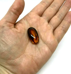Amber Piece 4 Insects Inclusion Fossil Insect Natural Baltic Amber Bead 3,3g4738 - Picture 1 of 12