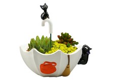 Creative Umbrella Plants Pots Cute Cartoon Succulent Flower Pots Planter Desk Ga