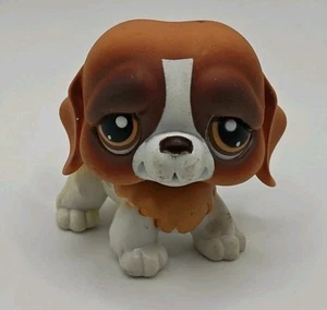 LITTLEST PET SHOP LPS #229 Vintage authentischer Hund braun Bernhardiner braune Augen - Bild 1 von 5