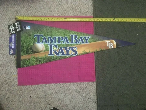 BRAND NEW!! WINCRAFT 2010 MLB TAMPA BAY RAYS PREMIUM QUALITY FELT PENNANT FLAG Cover