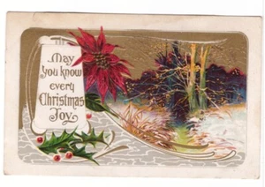 May You Know Every Christmas Joy, Holly, Poinsettia, Antique Embossed Postcard - Picture 1 of 2