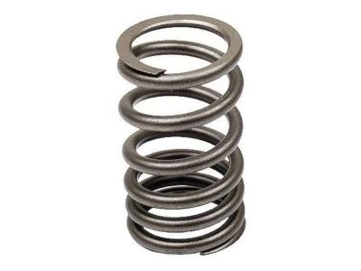 Muelle de válvula 56212HZJG para Volkswagen Thing 1973-1974 Foto 1 de 2