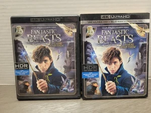 Fantastic Beasts and Where to Find Them (4K Ultra HD UHD/Blu-ray) w/Slipcover - Foto 1 di 10