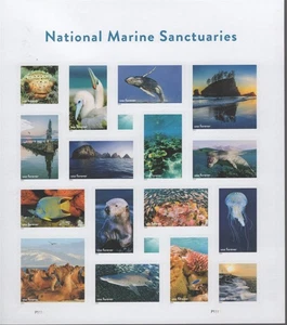 SC# 5713 2022 Forever - National Marine Sanctuaries - Mint NH Sheet of 16 Stamps - Picture 1 of 2