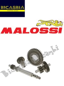 4360 - KIT INGRANAGGI PRIMARI MALOSSI HTQ PIAGGIO SI BRAVO BOSS GRILLO CIAO - Imagen 1 de 1