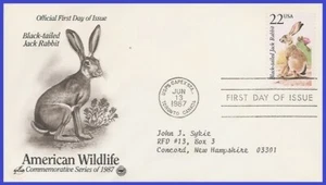 USA5 #2305 ADDR PCS ARTCRAFT FDC   Black-tailed jack rabbit - Picture 1 of 1