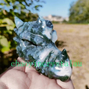 1pc Natural Aquatic Agate Dragon Skull Quartz Crystal 3.5" Skull Hand Carved Gem - Picture 1 of 12
