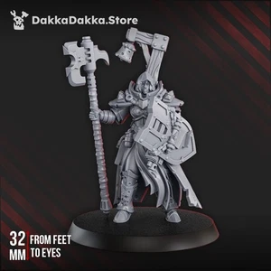 Blightshield Witch ENTREGA GRATUITA - Imagen 1 de 2