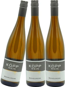 (3 x 0,75l) 21er SCHEUREBE Landwein Erzeugerabfüllung Weingut Kopp - Bild 1 von 7