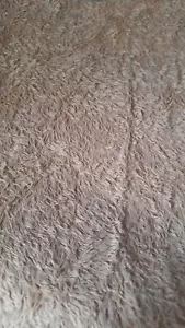 Nouveau: Viscose, 28 X 70 Cm - Steiff-Schulte - Beige - Photo 1/10