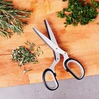 Mercer Culinary Herb 5 Blade Scissor With Blade Guard 7 5/8 in