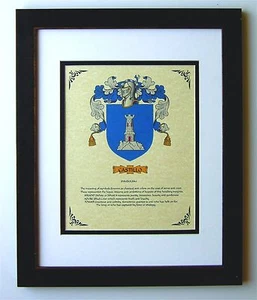 HERALDRY COAT OF ARMS ~ CASTILLO FAMILY CREST ~ FRAMED - Picture 1 of 2
