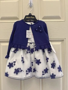 Amertican princess toddler girl formal holiday dress size 24M - Picture 1 of 6
