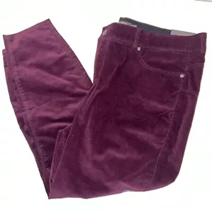 Torrid Bombshell Skinny Pants Women's 26R Purple Corduroy Stretch Waistband-New - Picture 1 of 11
