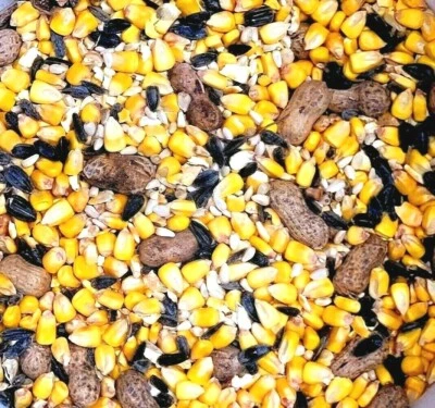 MIDWEST SEEDS SQUIRREL & CRITTER BIRD SEED FOOD FEED Corn Black Oil Sunflower Peanuts Nuts