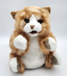 Folkmanis Handpuppe Orange Tabby Kätzchen Katze Plüschtier 419-YM-033 Geschichtenerzählen - Bild 1 von 21