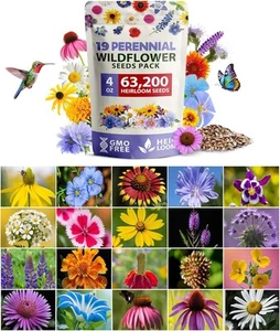 HOME GROWN 63,200+ Wildflower Seeds Bulk: (4oz) Perennial Wild 4 oz, Multi - Picture 1 of 8