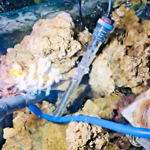 10 Kg Lebendgestein für Meerwasser Aquarium - Bild 1 von 1