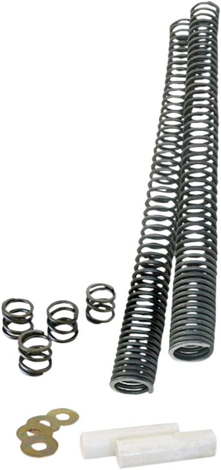 Horquilla delantera progresiva 39 mm - 1 kit de descenso para Harley Sportster Dyna 1987-2017 Foto 1 de 1