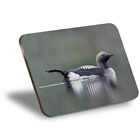 Placemat Arctic Loon Gavia Arctica Diving Bird #50111