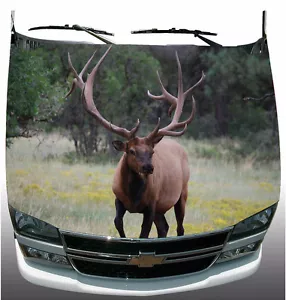 Calcomanía de vinilo masiva para camión o capucha de automóvil Monster Bull nueva en caja #Hood007 - Imagen 1 de 7