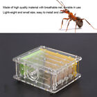 Durable Acrylic Ant Villa Farm House Formicarium For Ant Feeding Access Gs0