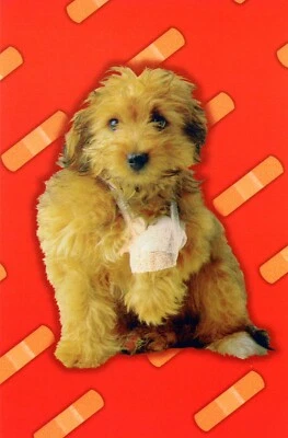 Cute GET WELL SOON Card, "Heal!" Goldendoodle Puppy Dog by American Greetings +✉ - Image 1 of 4