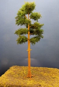 Diorama Modell Nadelbäume, 1 Waldkiefer, ca. 50 cm - Picture 1 of 3