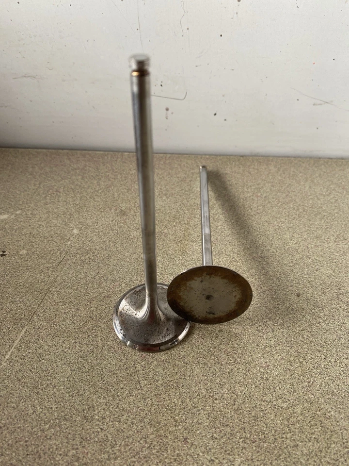 06-13 JUEGO DE 2 VÁLVULAS DE ADMISIÓN BMW M5/M6/M3/E60/E63/E64/E90/E92/E93/S85/S65 V10 Foto 1 de 1