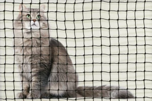 Cat Enclosure Netting 20m x 5m BLACK Low-Vis - Free Shipping - Picture 1 of 9