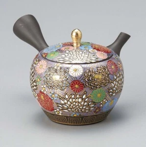 Kutani × Tokoname ware Kyusu Japanese Tea pot Flower arden 22oml Y104 by Gyokko - Picture 1 of 6