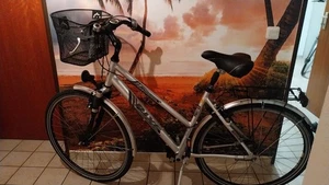 gut erhaltenes Damenfahrrad "Rixe", 7-Gang, Farbe silber - Bild 1 von 1