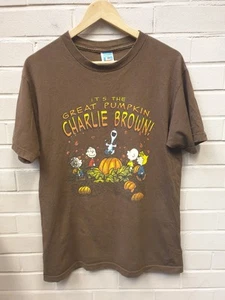 Vintage Peanuts Charlie Brown Snoopy Fall Pumpkin Brown T Shirt Y2K Size Medium - Picture 1 of 7