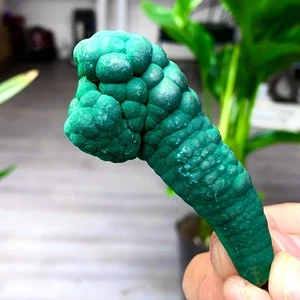 97G Malaquita Natural Brillante Transparente Racimo Muestra Mineral Áspero - Imagen 1 de 16
