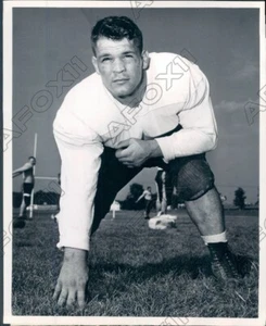 Foto stampa Jim Crawford guardia calciatore Chicago Bears 1951 - Foto 1 di 2