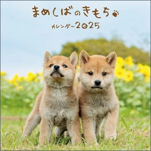 Calendario Mameshiba No Kimochi 2025 mensual colgante de pared Japón - Imagen 1 de 12