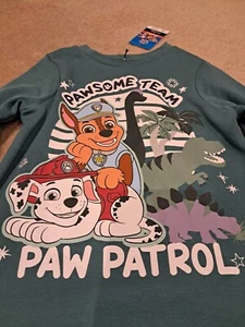 Paw patrol Paw T shirt 2-3 years old Brand new with tags 100% responsible cotton - Picture 1 of 7