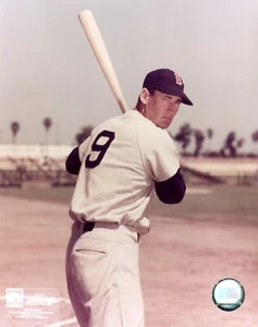 TED WILLIAMS ~ 8x10 Color Photo Picture ~ Front Batting Stance ~ Boston Red Sox - Picture 1 of 1