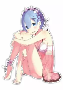Calcomanía Pegatina 005 para Ventana de Coche Re:Zero Rem and Ram Anime 005 - Imagen 1 de 1