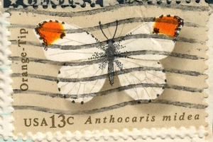 USA - 1977 Butterflies - Anthocaris midea - Picture 1 of 1