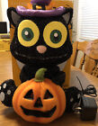 Halloween Fiber Optic Witch Cat Pumpkin 17” Tall BULB BURNT OUT Decoration Only