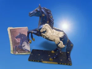 Trail Painted Ponies 2010 Celestial 1st Edition 1E Retired 4020477 Story Card - Picture 1 of 9