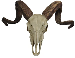 Korsischer Widder Schädel Wandskulptur aus Kunststein zum Aufhängen Deko Western - Bild 1 von 3