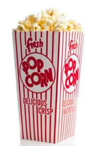 Display Faux Food Prop Buttered Movie Popcorn New - Picture 1 of 1