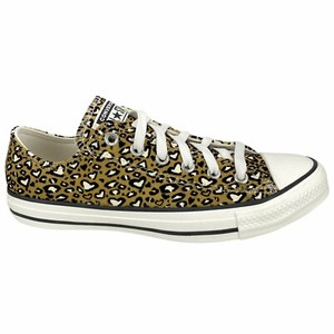 converse leopardo 45